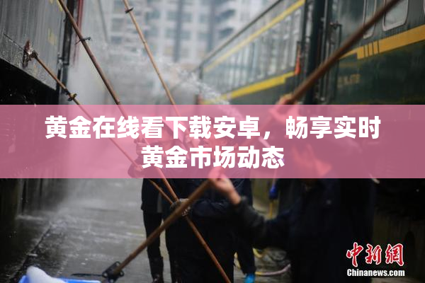 黄金在线看下载安卓，畅享实时黄金市场动态