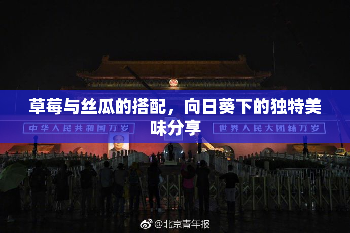 草莓与丝瓜的搭配，向日葵下的独特美味分享