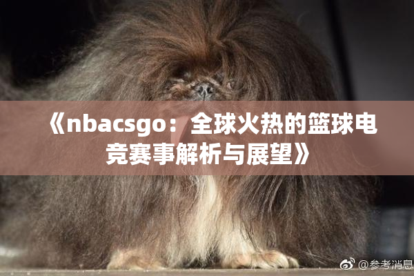 《nbacsgo：全球火热的篮球电竞赛事解析与展望》