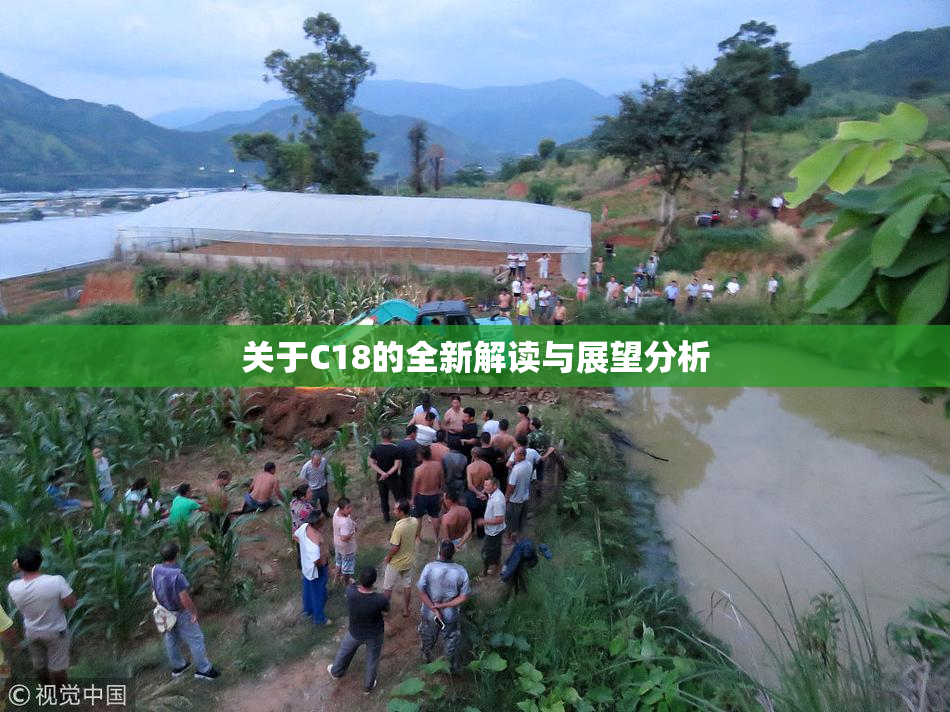 关于C18的全新解读与展望分析