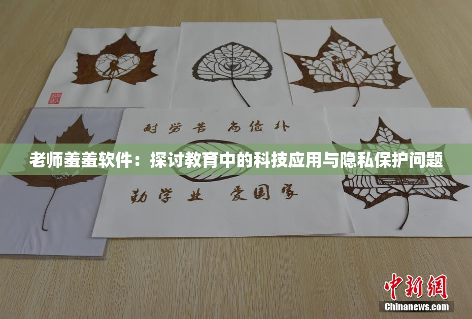 老师羞羞软件：探讨教育中的科技应用与隐私保护问题