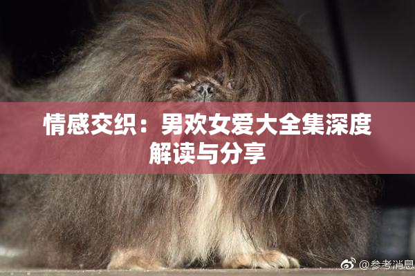 情感交织：男欢女爱大全集深度解读与分享