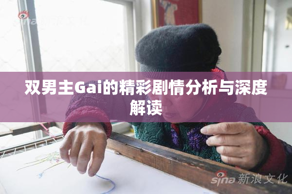 双男主Gai的精彩剧情分析与深度解读