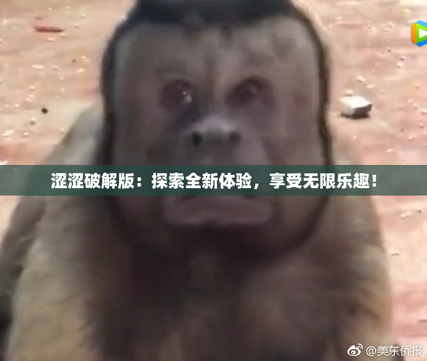 涩涩破解版：探索全新体验，享受无限乐趣！