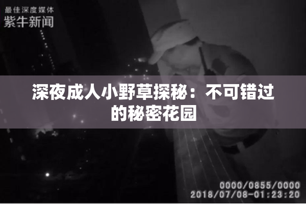 深夜成人小野草探秘：不可错过的秘密花园