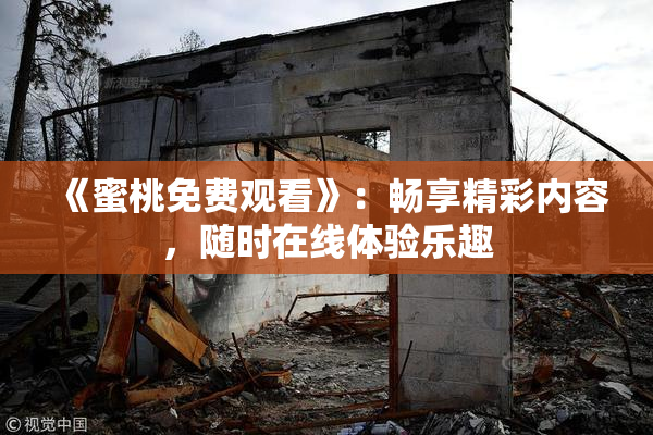 《蜜桃免费观看》：畅享精彩内容，随时在线体验乐趣