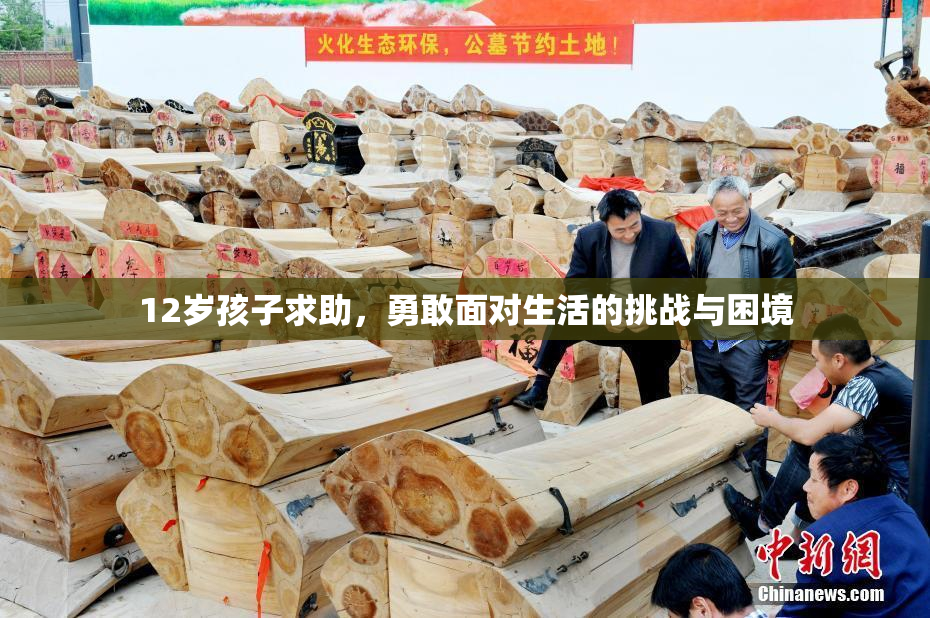 12岁孩子求助，勇敢面对生活的挑战与困境
