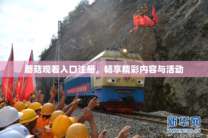 蘑菇观看入口注册，畅享精彩内容与活动