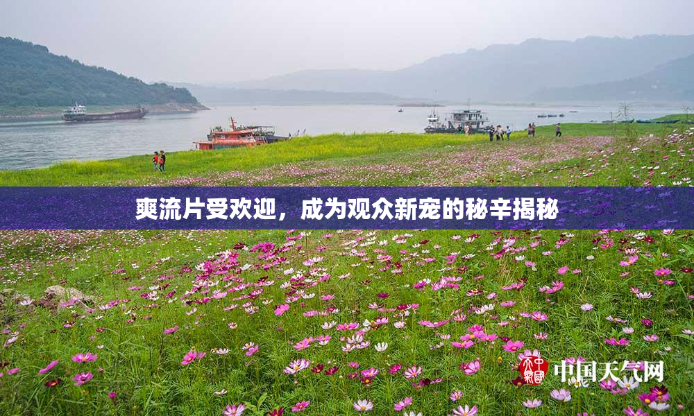 爽流片受欢迎，成为观众新宠的秘辛揭秘