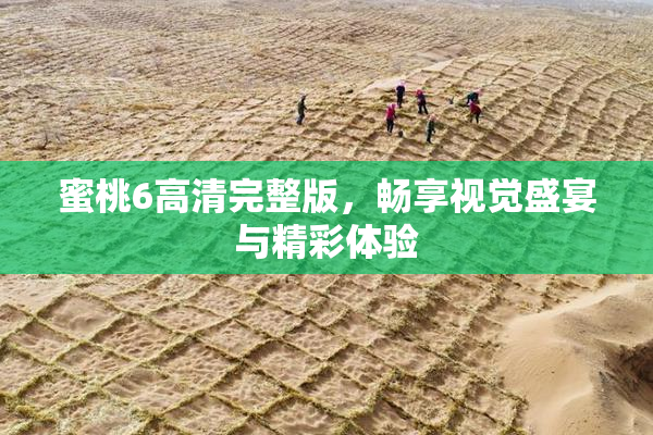 蜜桃6高清完整版，畅享视觉盛宴与精彩体验