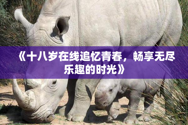 《十八岁在线追忆青春，畅享无尽乐趣的时光》