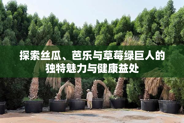 探索丝瓜、芭乐与草莓绿巨人的独特魅力与健康益处