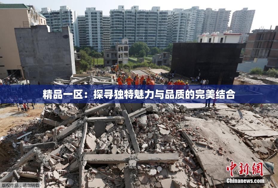 精品一区：探寻独特魅力与品质的完美结合