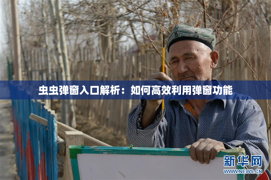 虫虫弹窗入口解析：如何高效利用弹窗功能