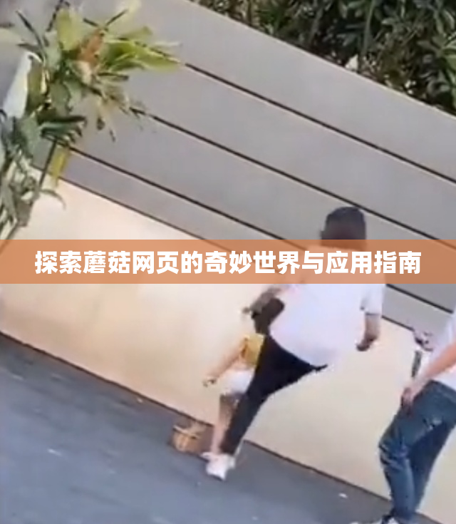 探索蘑菇网页的奇妙世界与应用指南