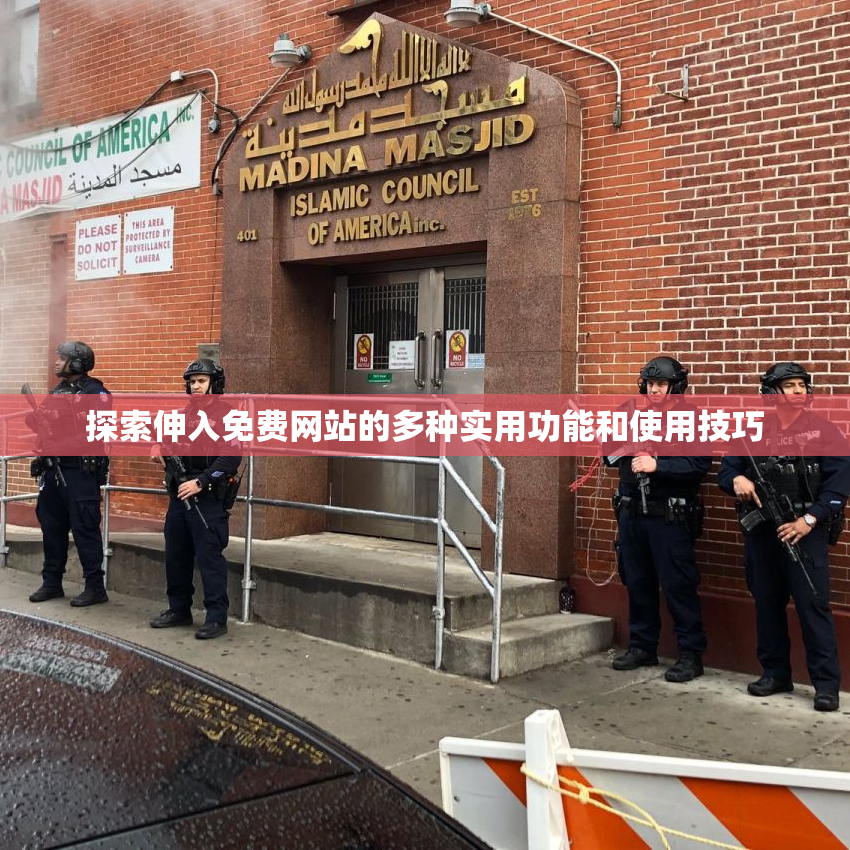 探索伸入免费网站的多种实用功能和使用技巧