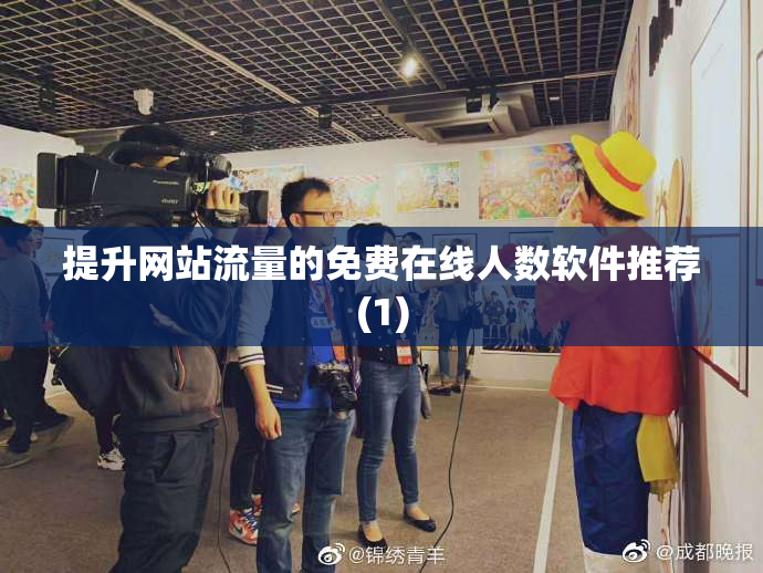 提升网站流量的免费在线人数软件推荐(1)