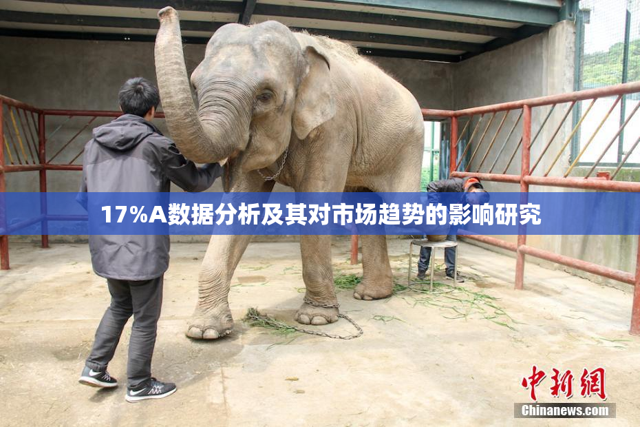 17%A数据分析及其对市场趋势的影响研究