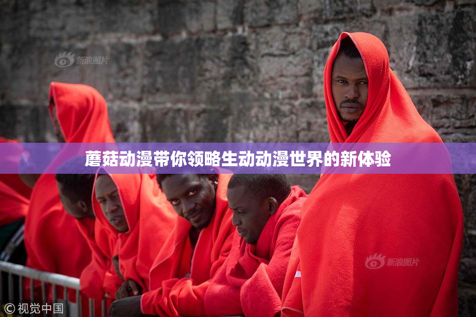 蘑菇动漫带你领略生动动漫世界的新体验