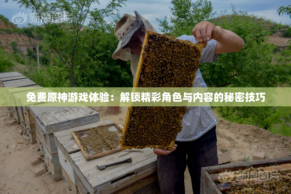 免费原神游戏体验：解锁精彩角色与内容的秘密技巧