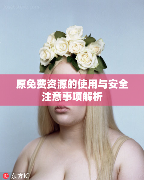 原免费资源的使用与安全注意事项解析