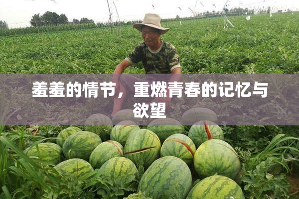 羞羞的情节，重燃青春的记忆与欲望