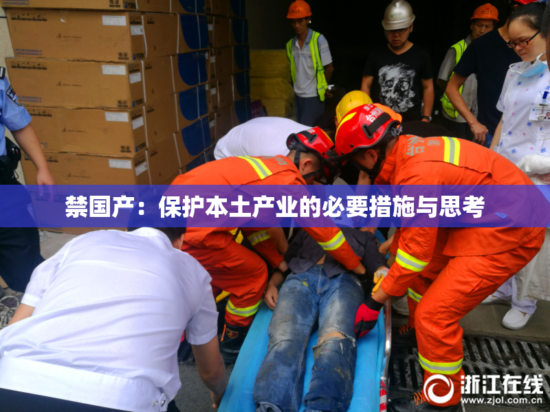 禁国产：保护本土产业的必要措施与思考