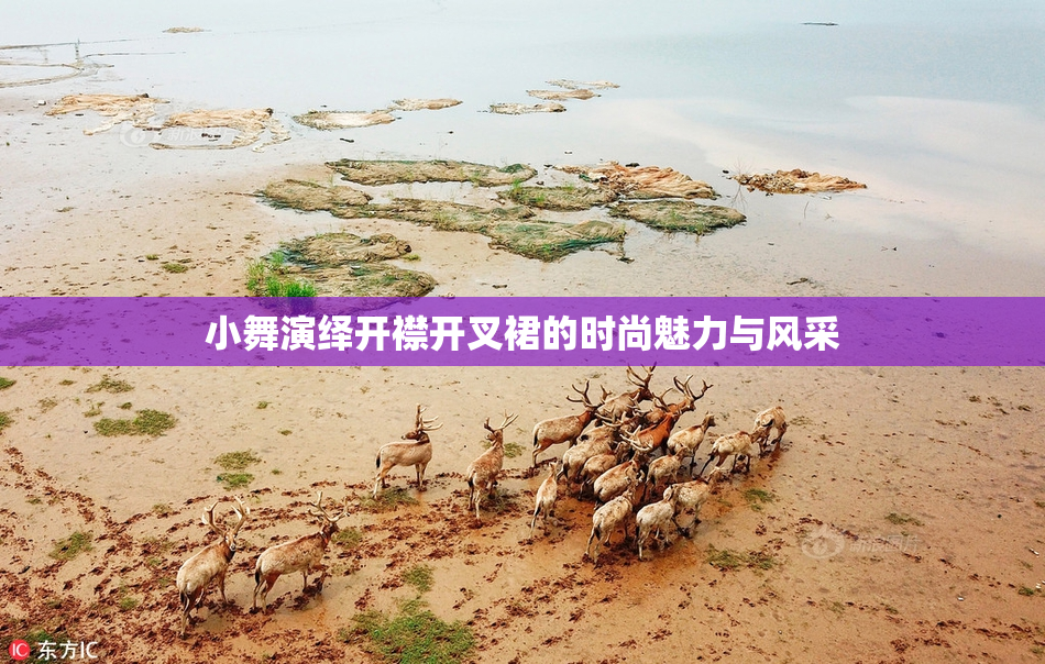 小舞演绎开襟开叉裙的时尚魅力与风采