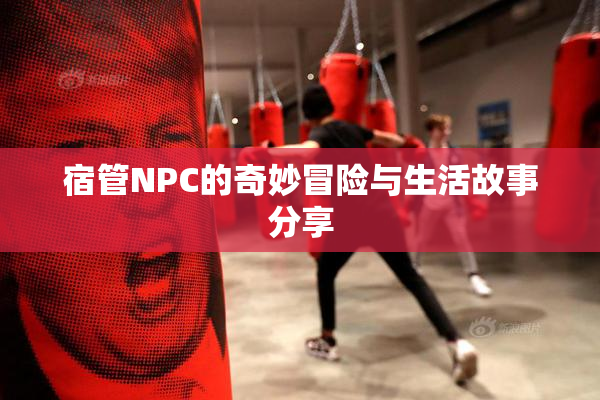 宿管NPC的奇妙冒险与生活故事分享