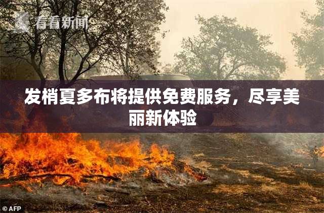 发梢夏多布将提供免费服务，尽享美丽新体验