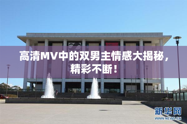 高清MV中的双男主情感大揭秘，精彩不断！