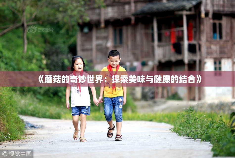 《蘑菇的奇妙世界：探索美味与健康的结合》