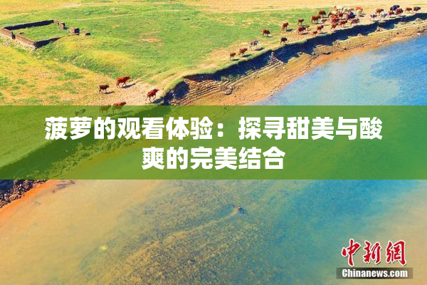 菠萝的观看体验：探寻甜美与酸爽的完美结合
