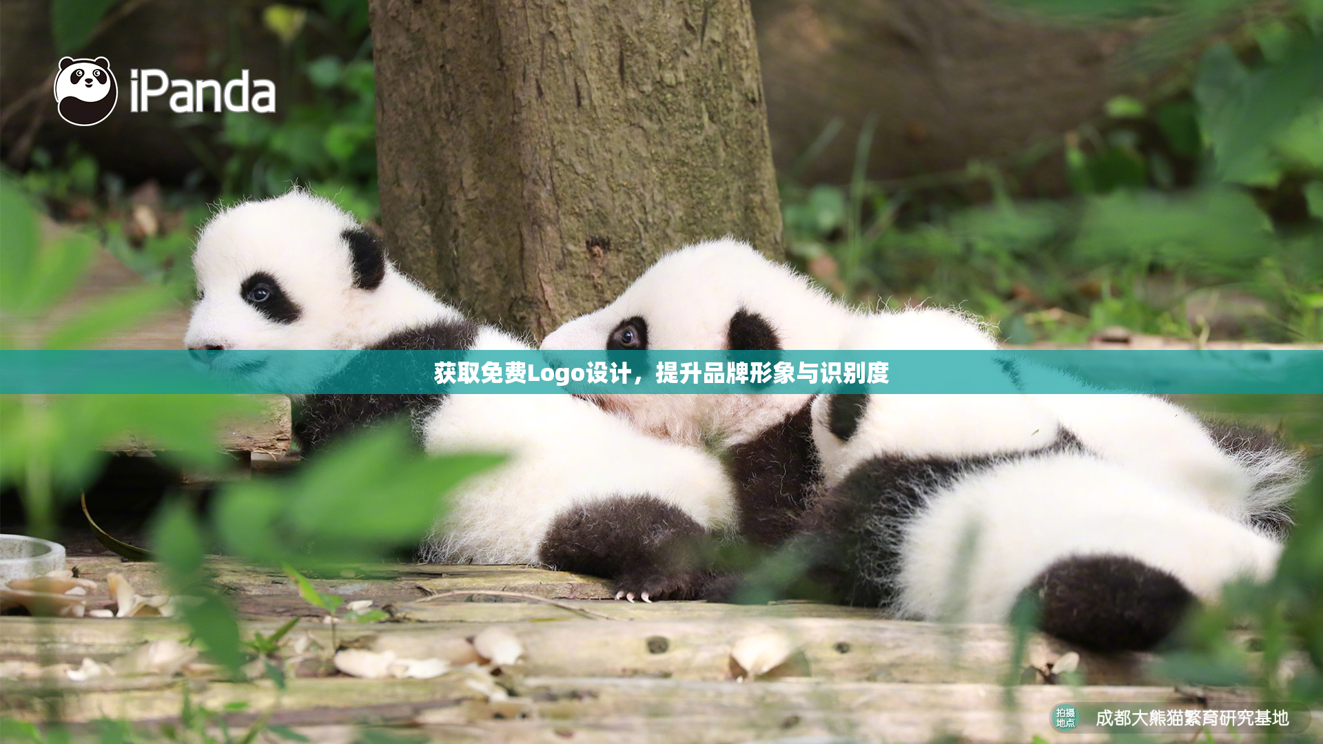 获取免费Logo设计，提升品牌形象与识别度
