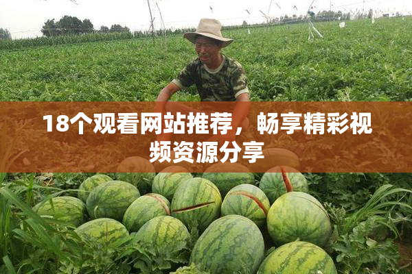 18个观看网站推荐，畅享精彩视频资源分享