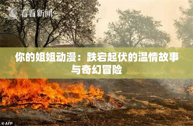 你的姐姐动漫：跌宕起伏的温情故事与奇幻冒险