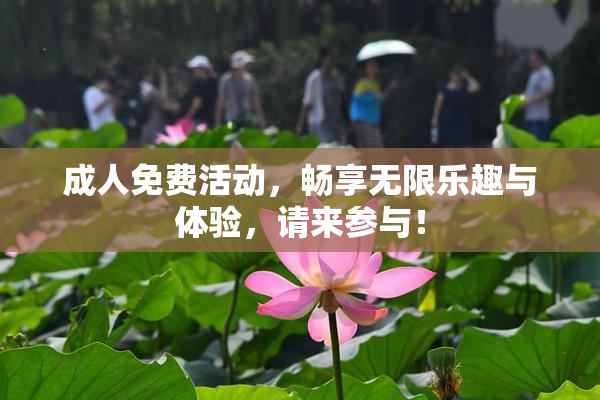 成人免费活动，畅享无限乐趣与体验，请来参与！