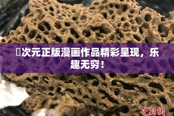 囧次元正版漫画作品精彩呈现，乐趣无穷！