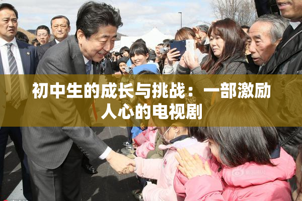 初中生的成长与挑战：一部激励人心的电视剧