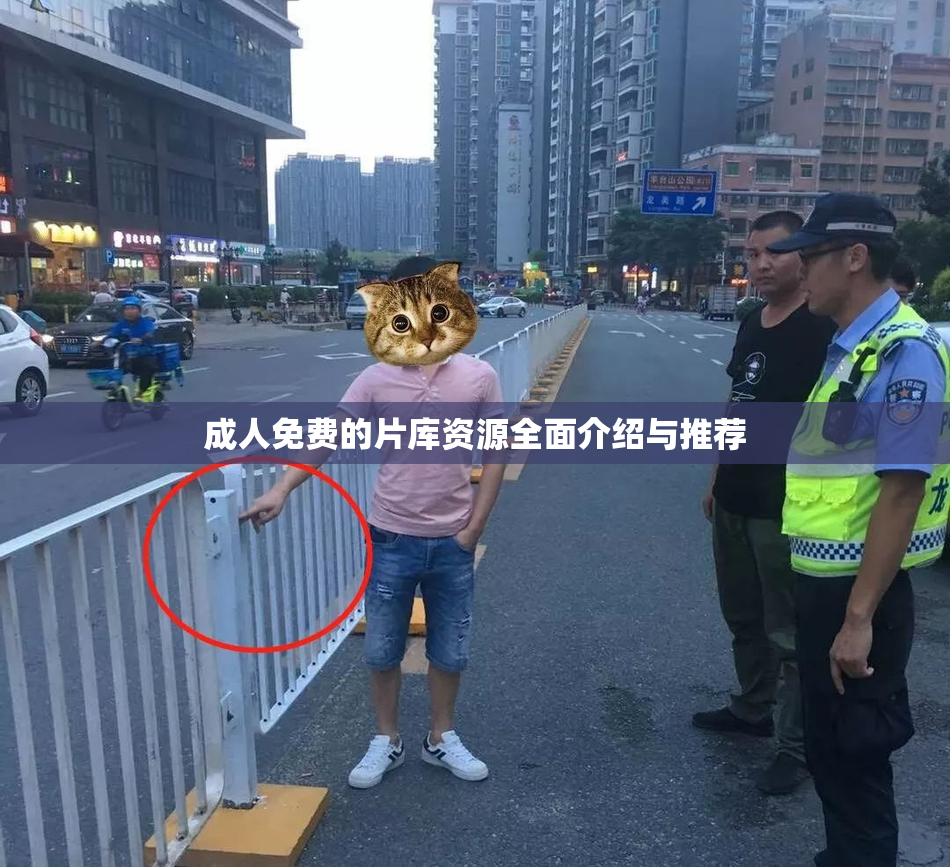 成人免费的片库资源全面介绍与推荐