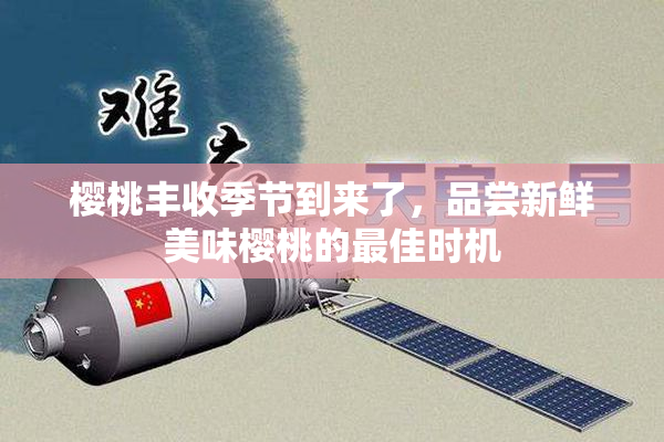 樱桃丰收季节到来了，品尝新鲜美味樱桃的最佳时机