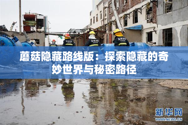 蘑菇隐藏路线版：探索隐藏的奇妙世界与秘密路径