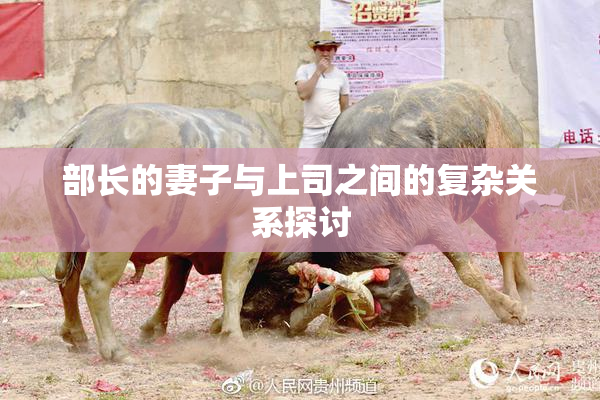 部长的妻子与上司之间的复杂关系探讨