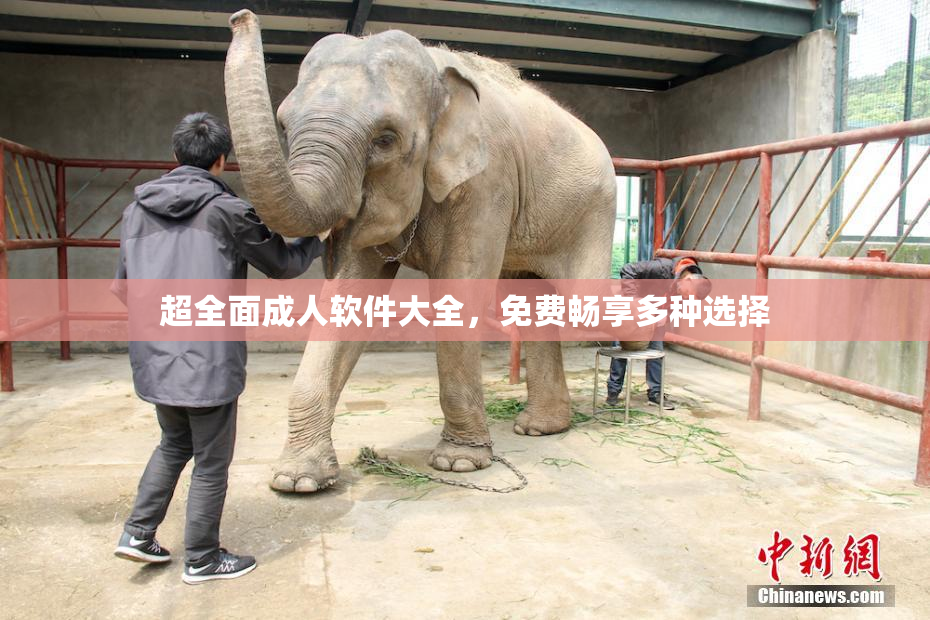 超全面成人软件大全，免费畅享多种选择