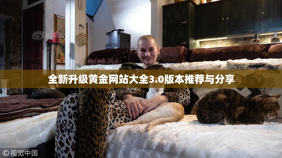 全新升级黄金网站大全3.0版本推荐与分享