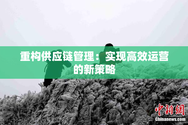 重构供应链管理：实现高效运营的新策略