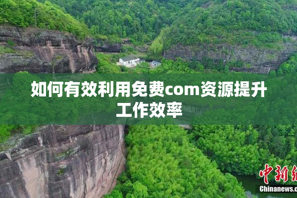 如何有效利用免费com资源提升工作效率