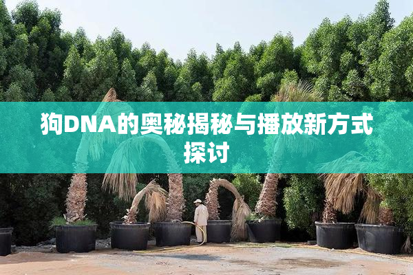 狗DNA的奥秘揭秘与播放新方式探讨
