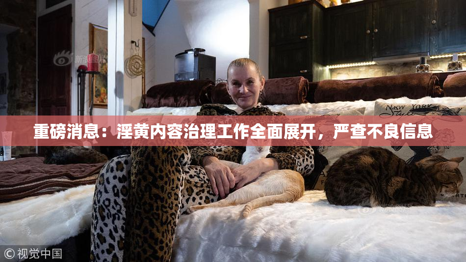 重磅消息：淫黄内容治理工作全面展开，严查不良信息