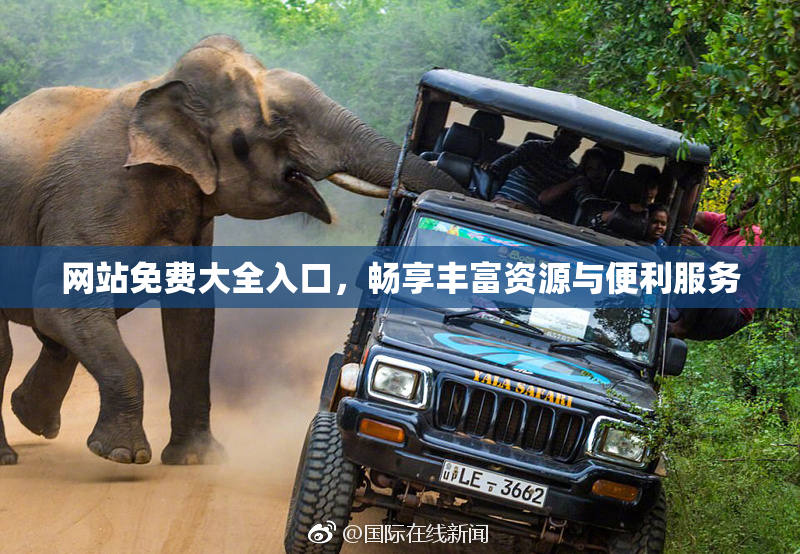 网站免费大全入口，畅享丰富资源与便利服务